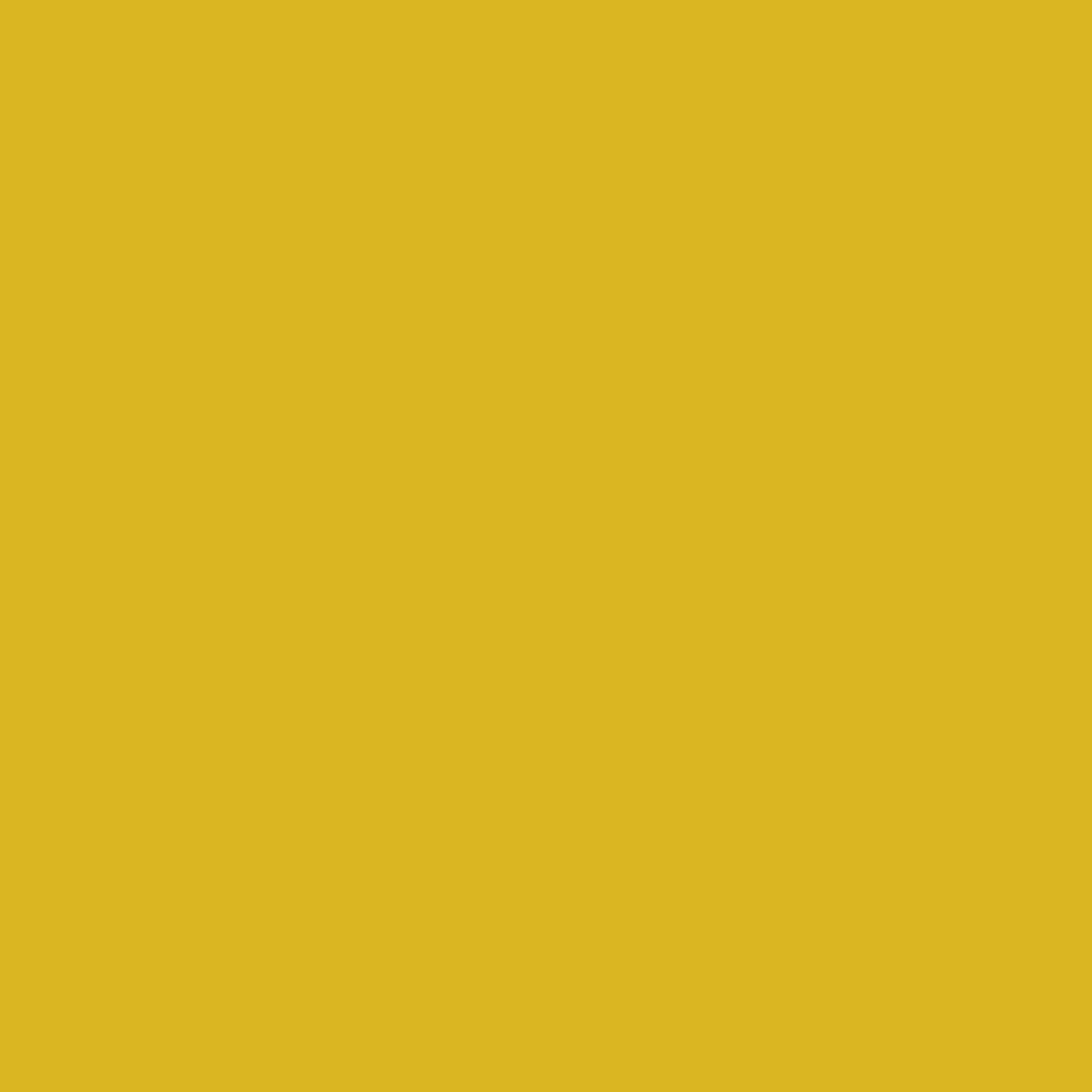 3M™ Scotchcast™ Plus Yellow Cast Tape, 3 Inch x 4 Yard, 1 Each