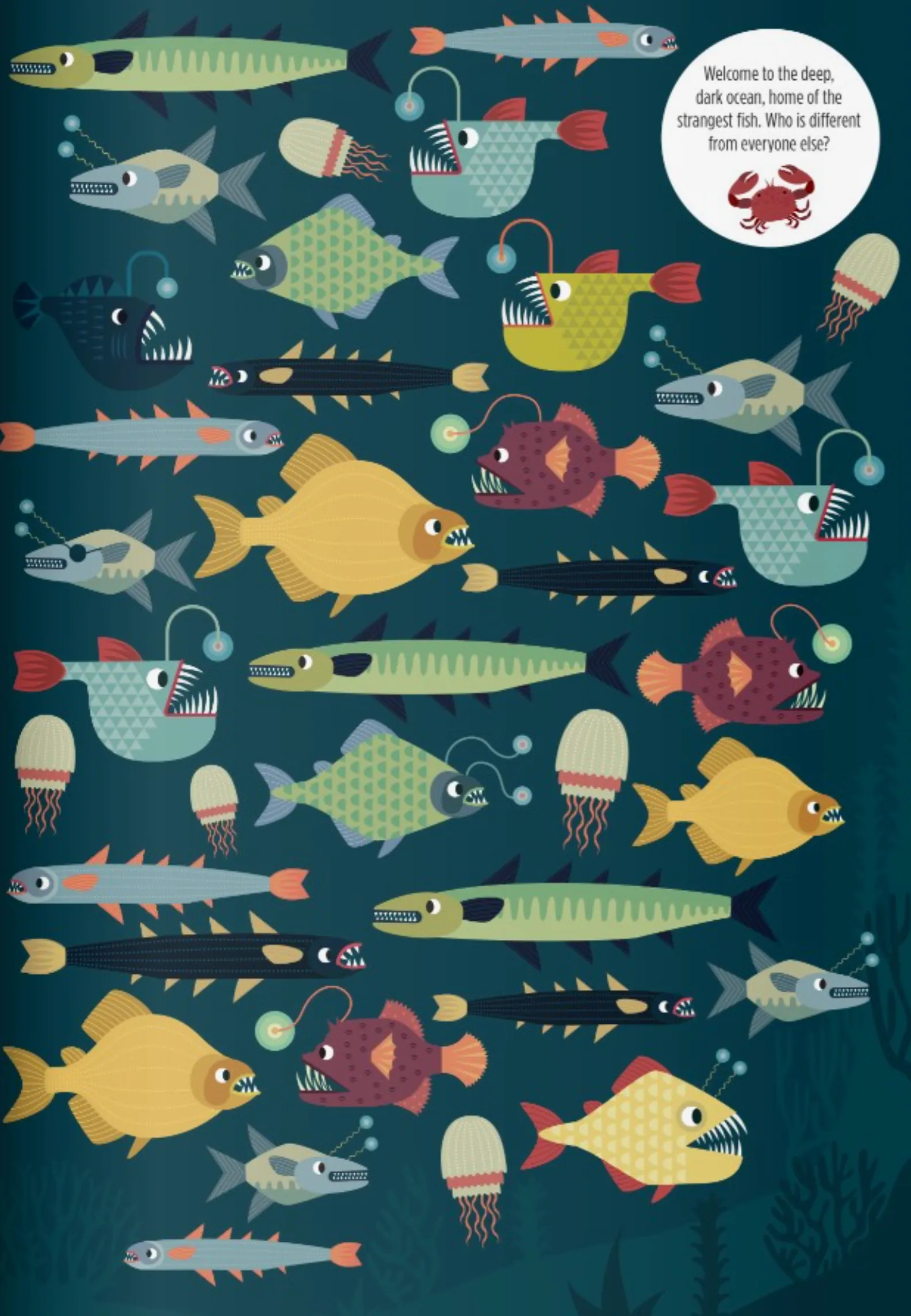 Activity Book | Find Me! Ocean
