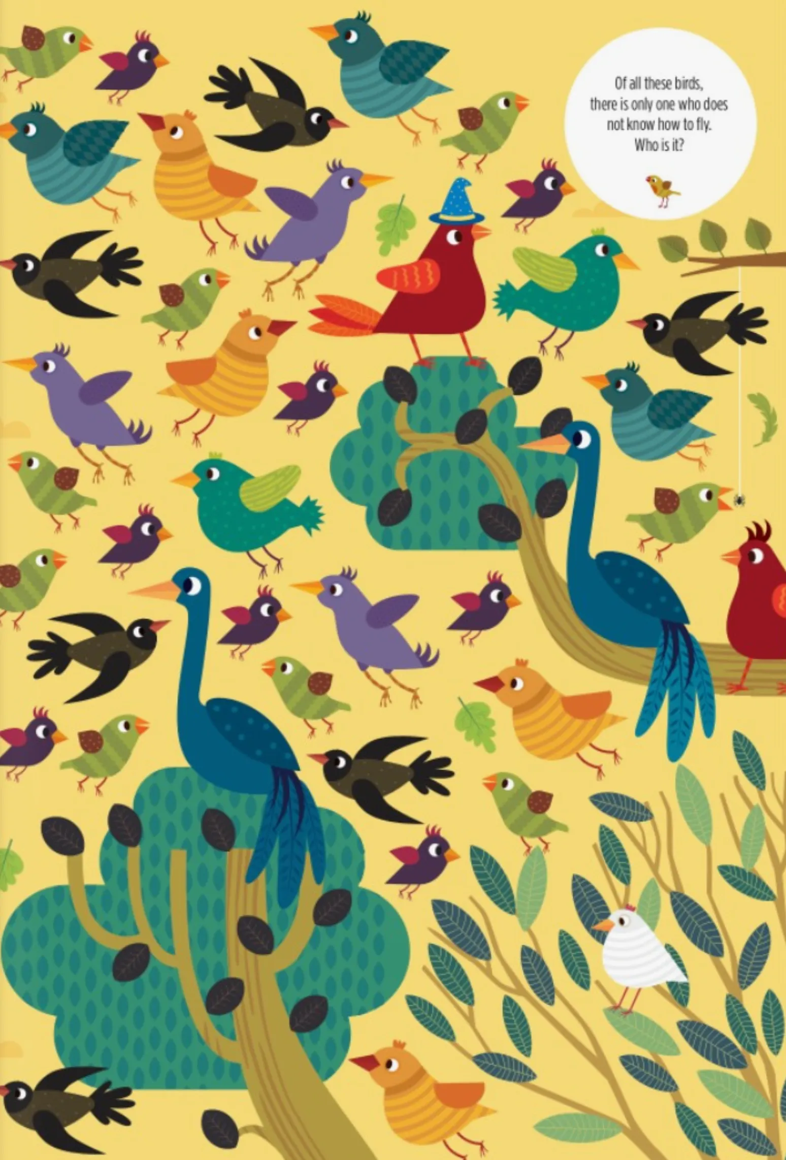 Activity Book | Find Me! Sky