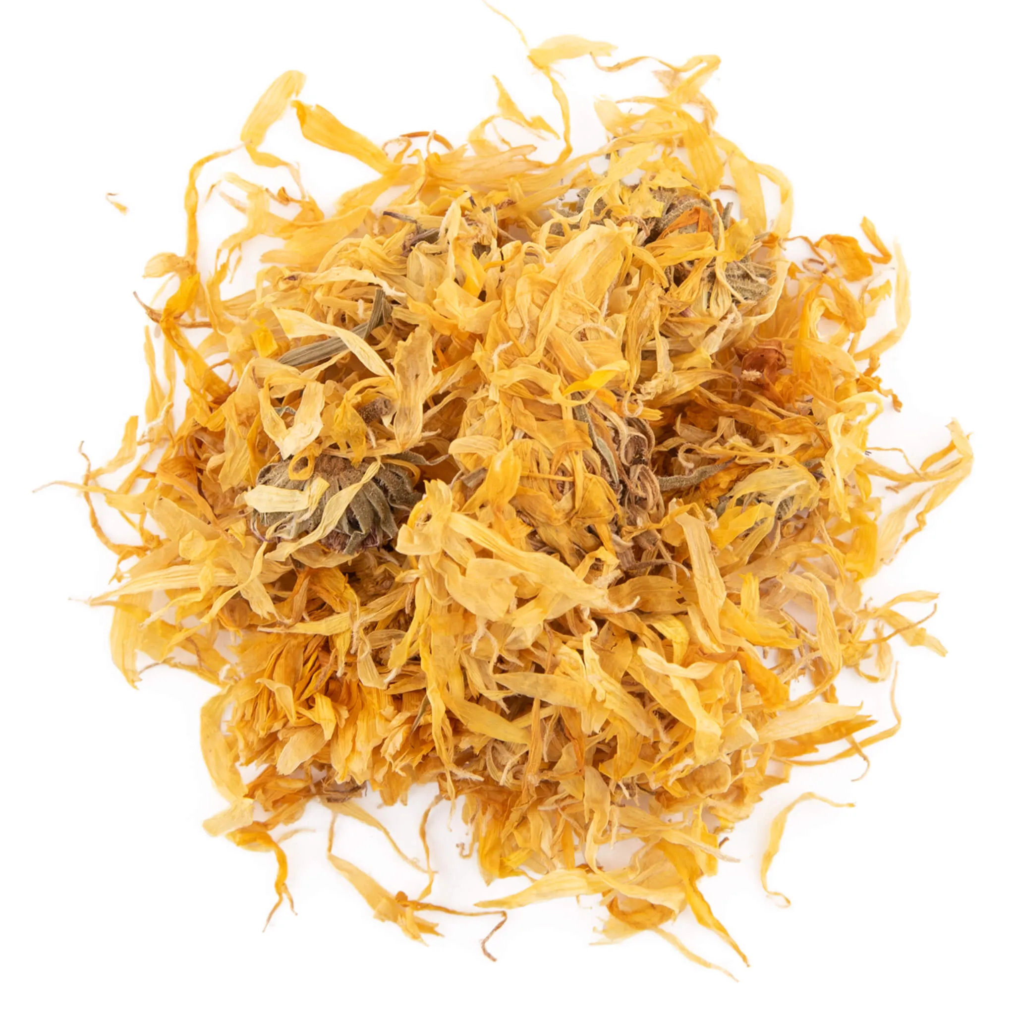 Calendula Flowers