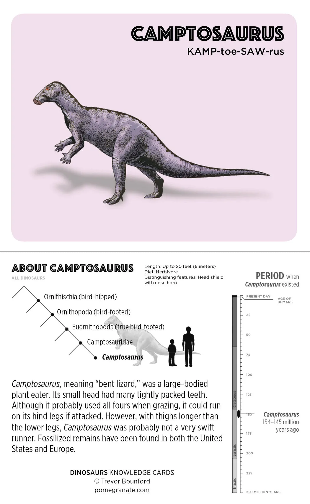 Dinosaurs