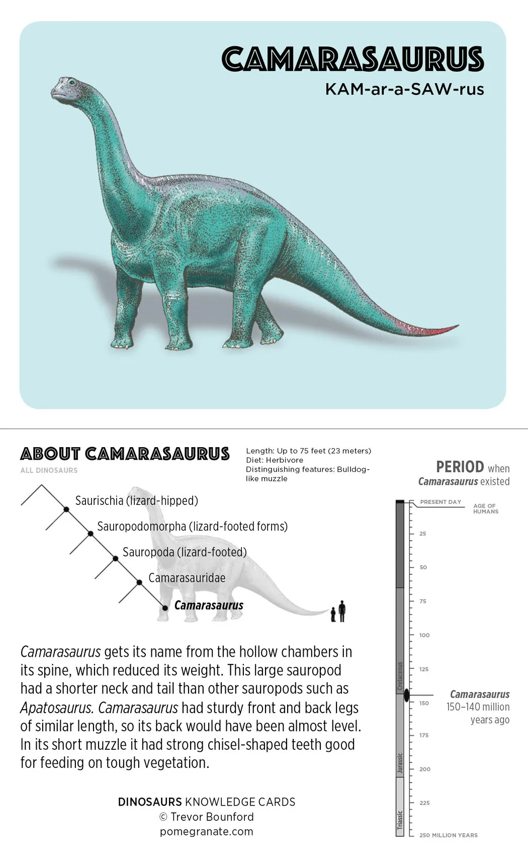 Dinosaurs