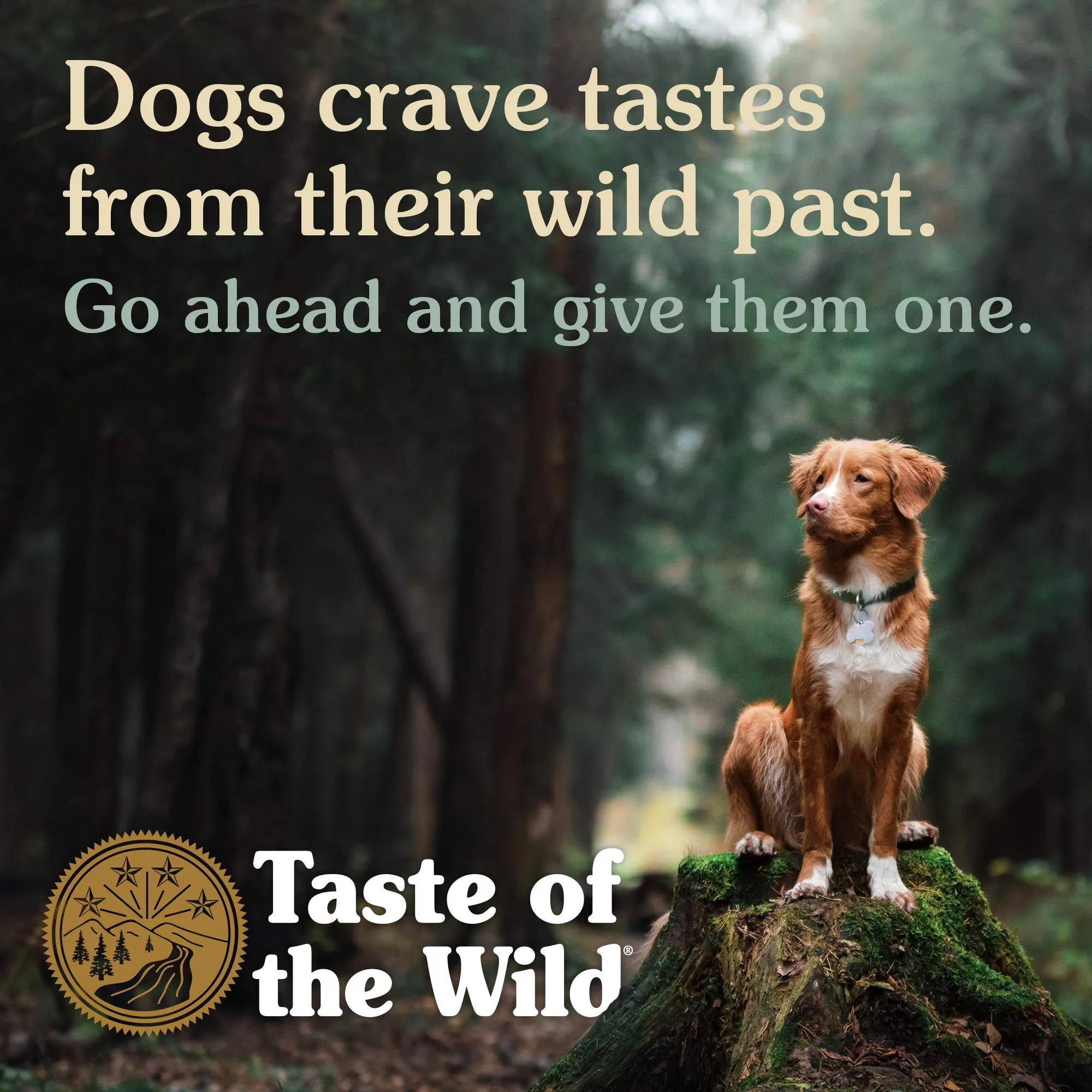 Dry Dog Food - Roasted Lamb Grain Free 28lb