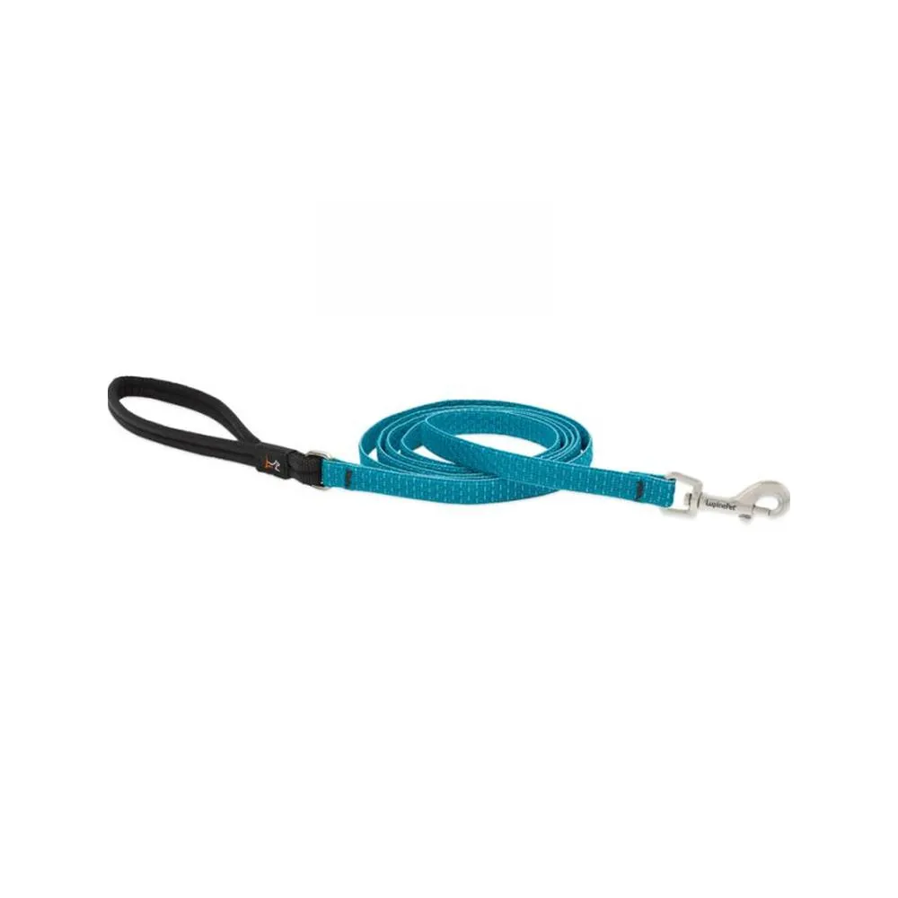 Eco Dog Leash