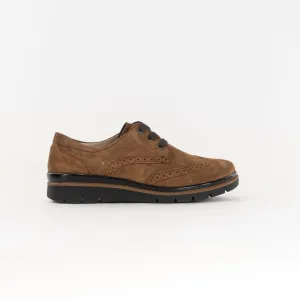 Fidelio Brogue 505102 (Women's) - Moldovo Nubuck