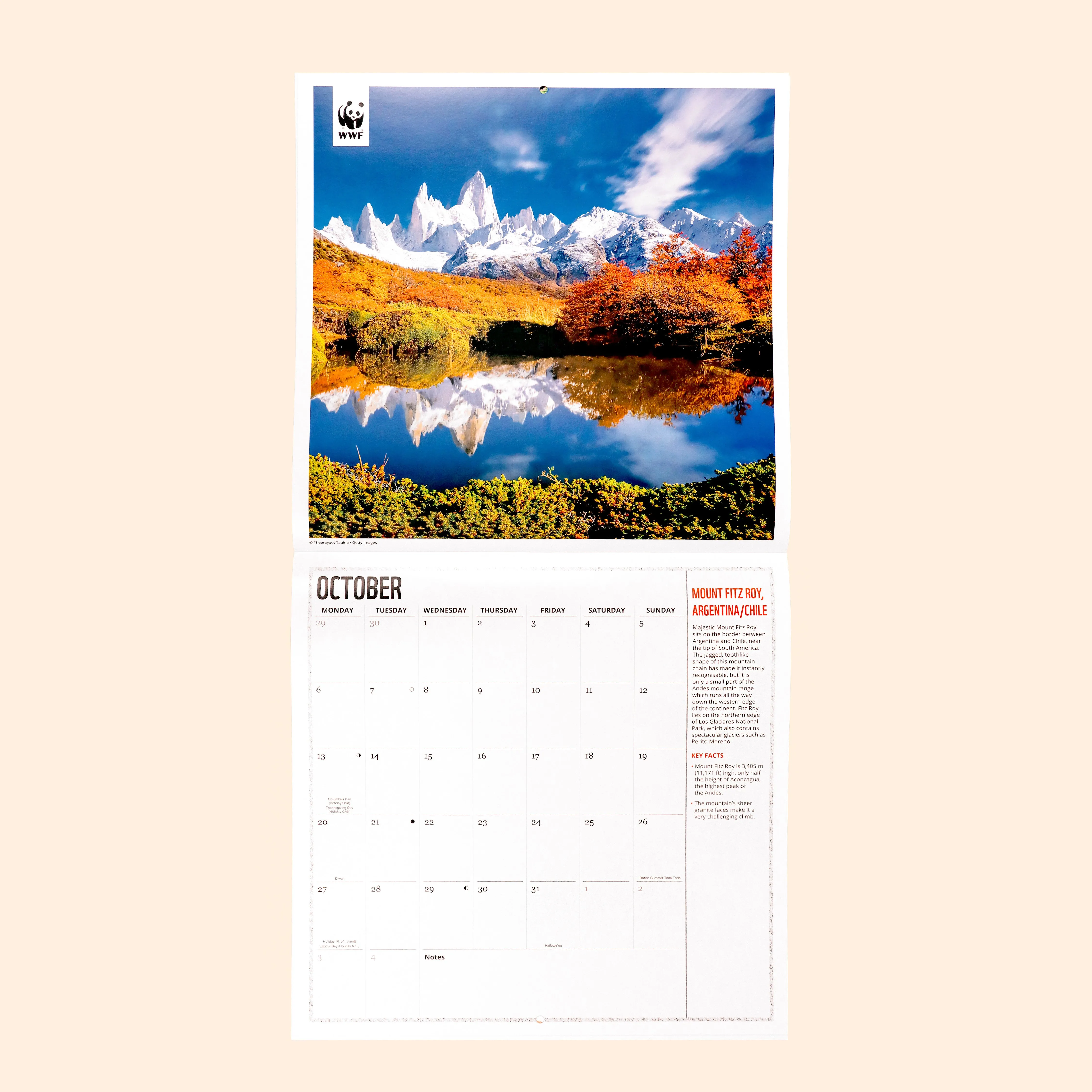 Fragile Earth Wall Calendar 2025