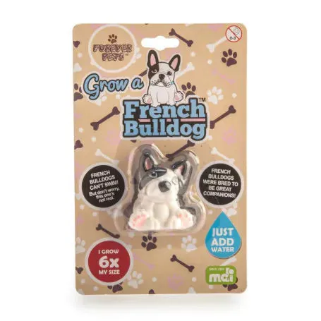 Grow a French Bulldog