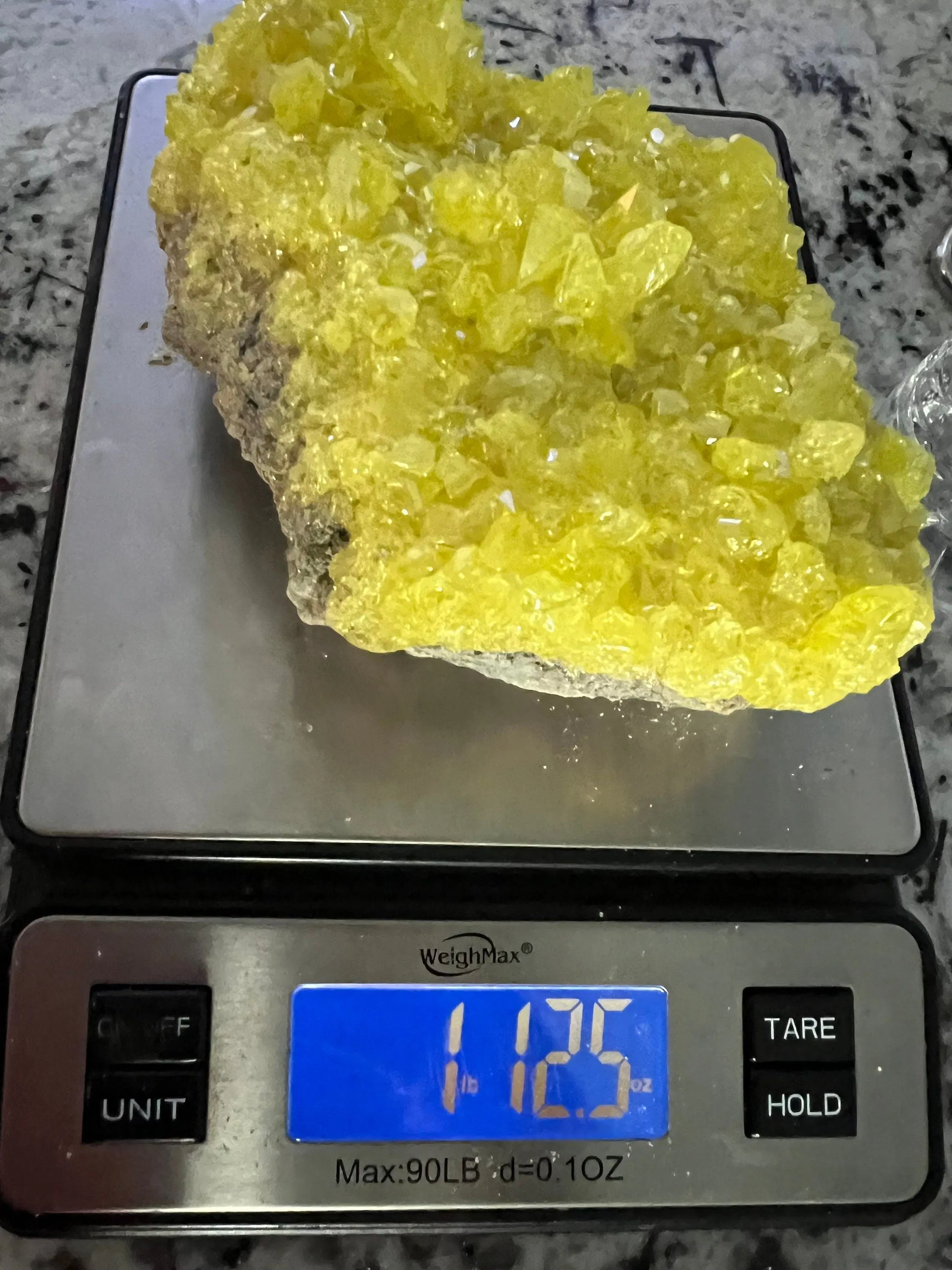 Natural surfer 1pound 12oz