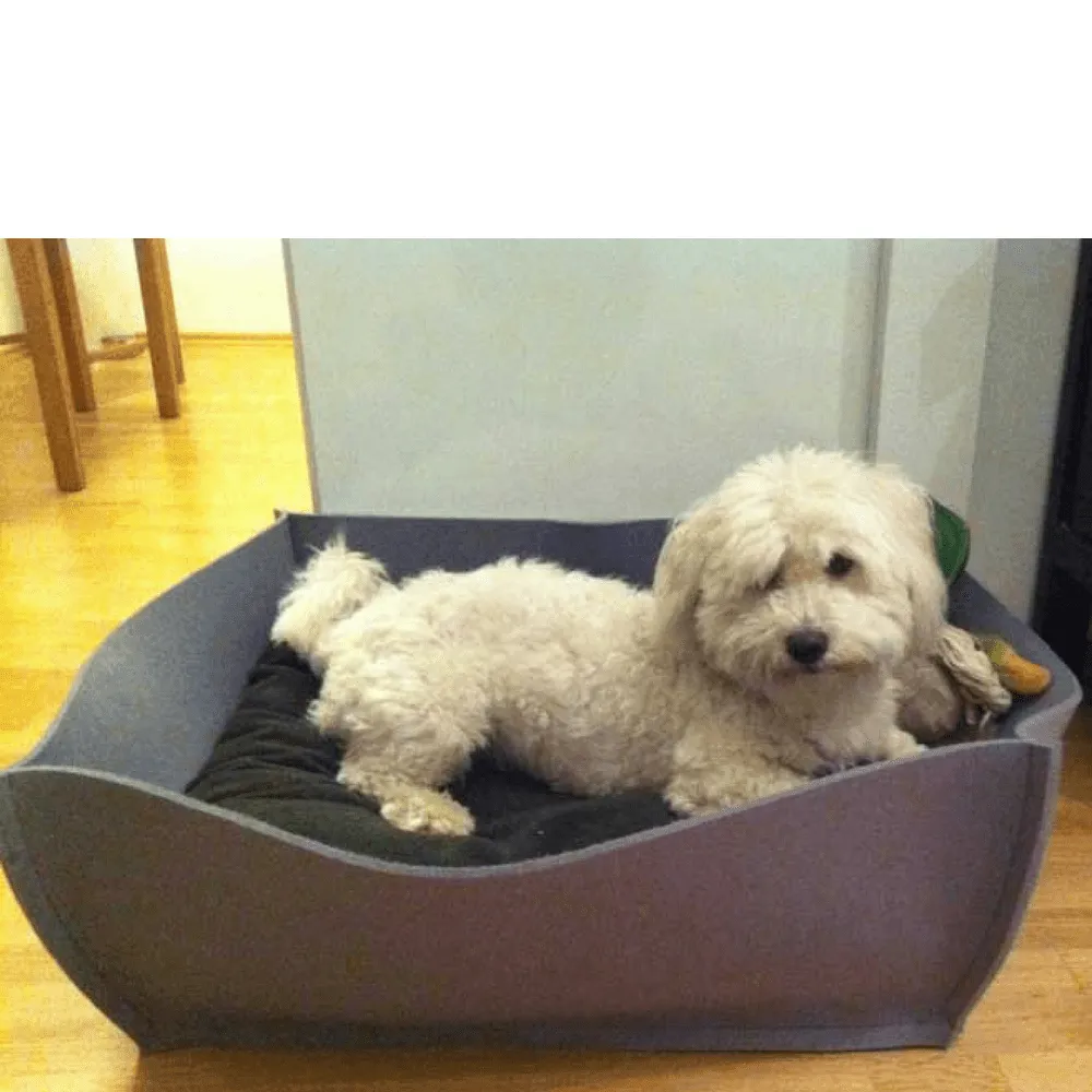 Orthopedic Pet Bed By Pet Interiors - Grey Felt Bowl