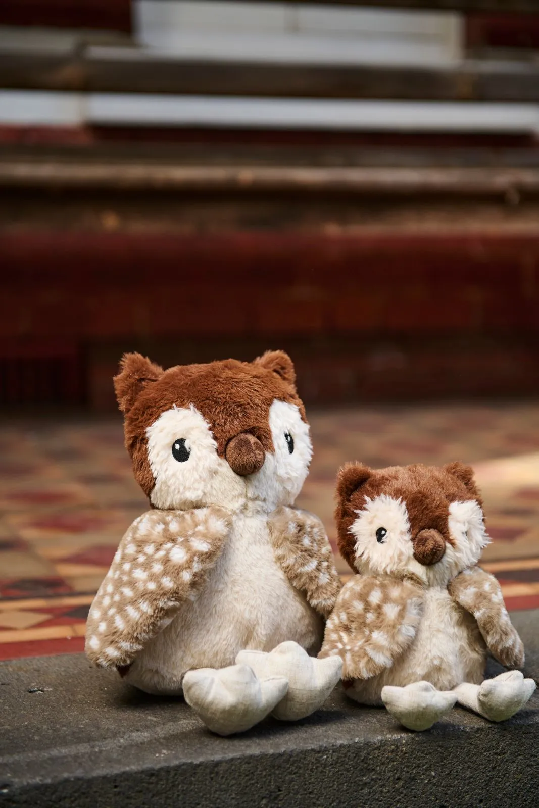 Oscar Owl Set