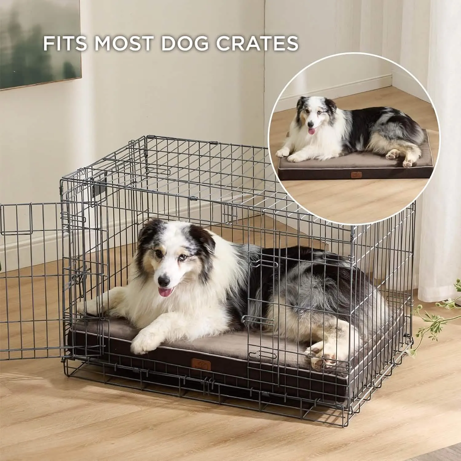 Plush Dog Bed