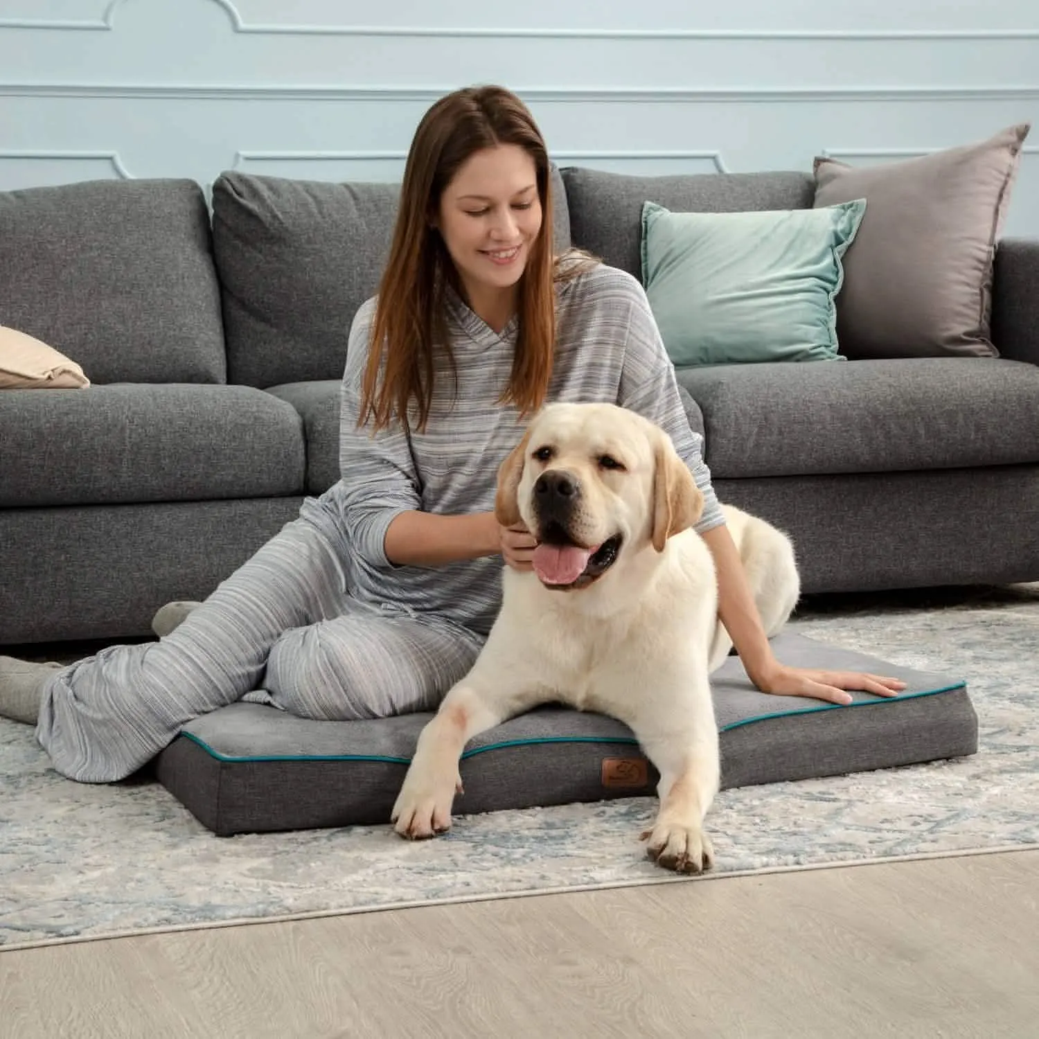 Plush Dog Bed