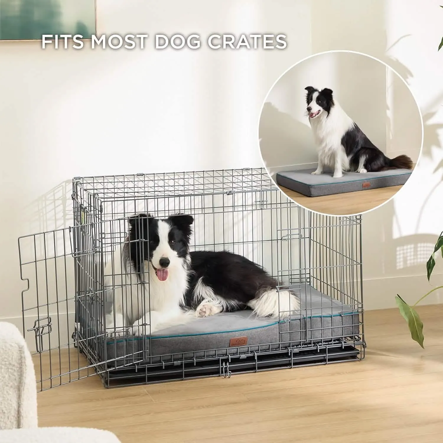Plush Dog Bed