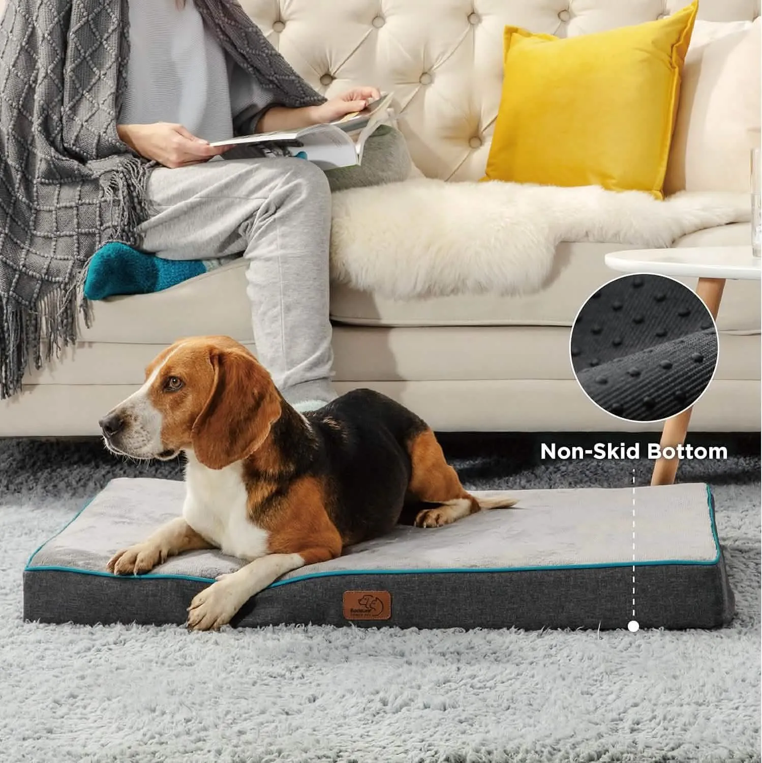 Plush Dog Bed