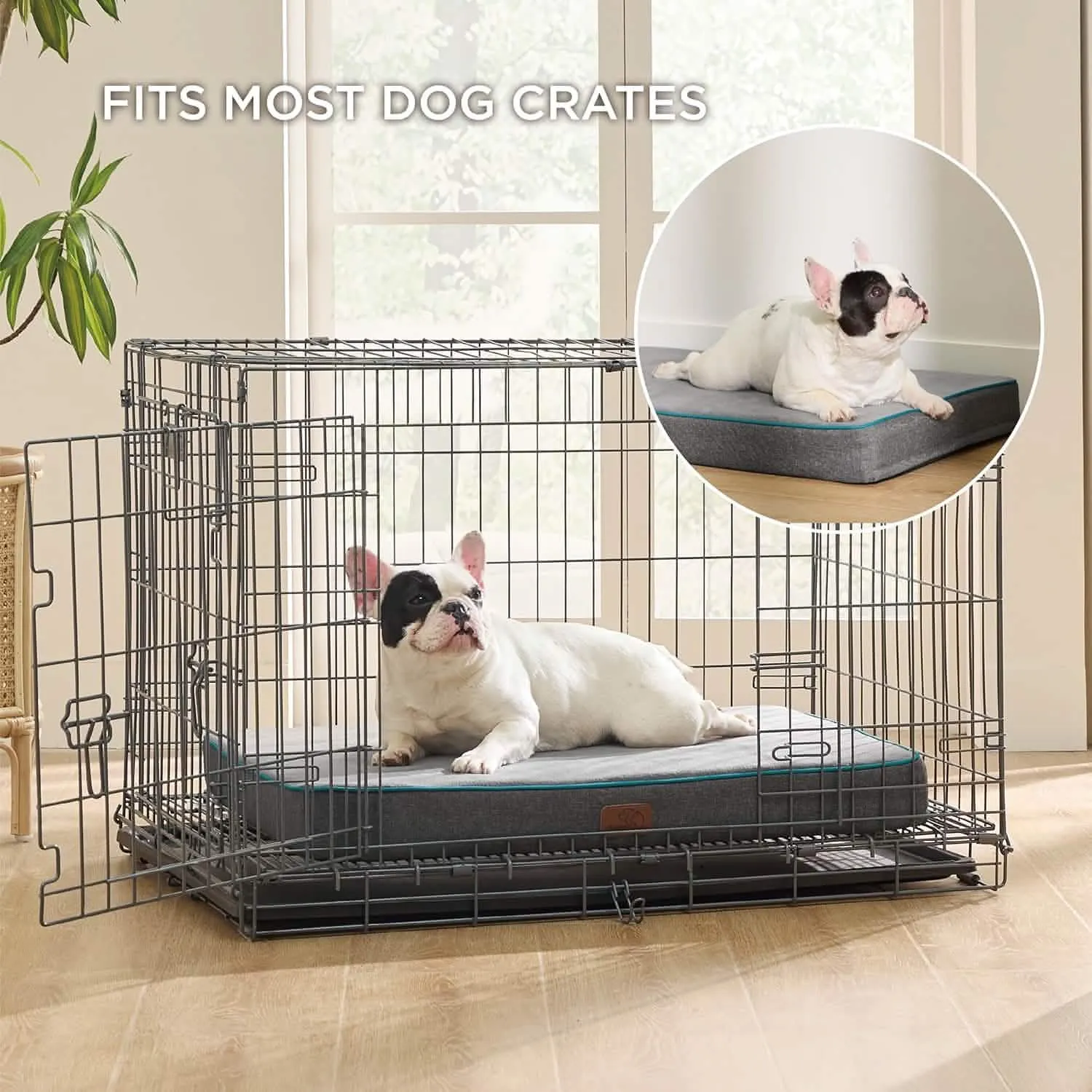 Plush Dog Bed