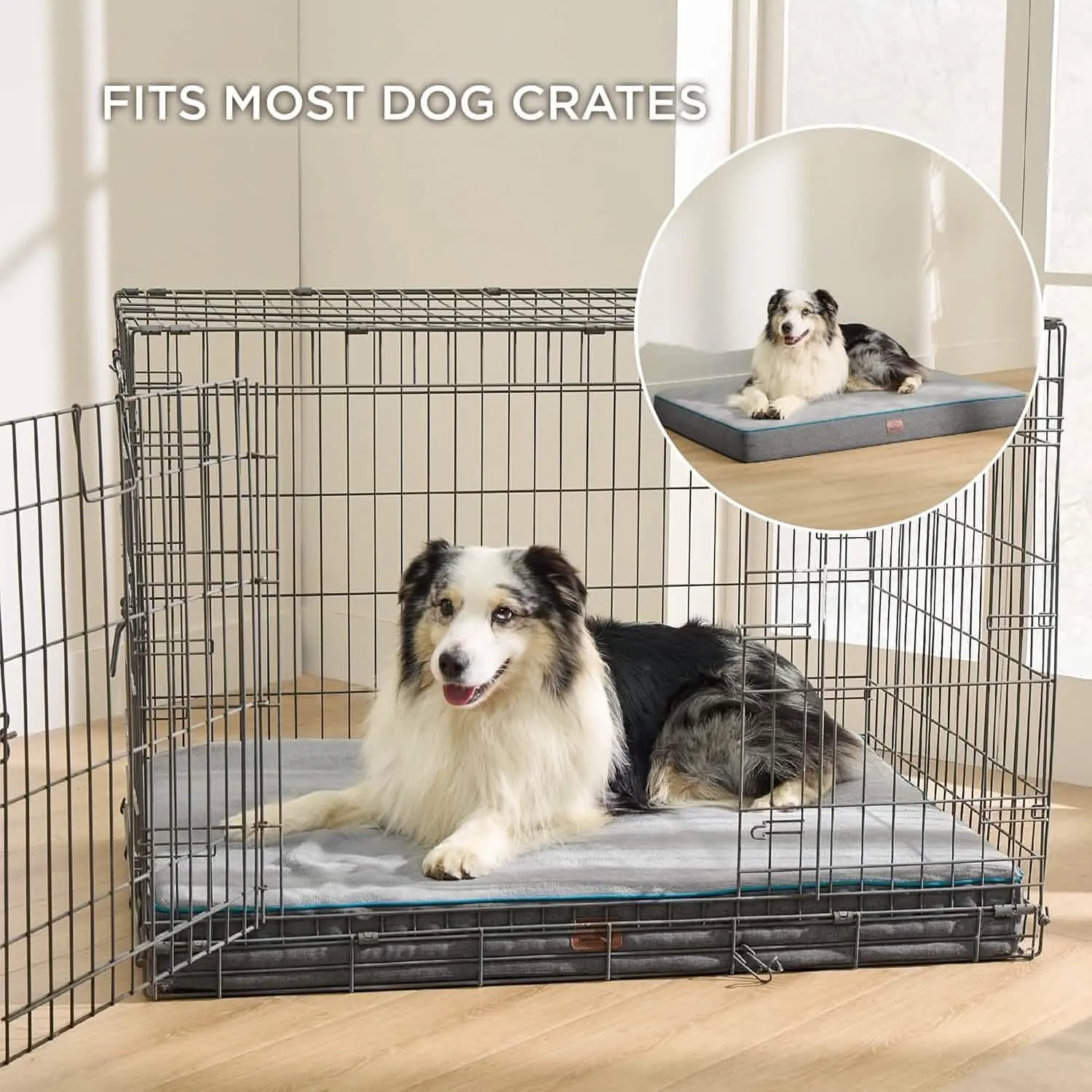 Plush Dog Bed
