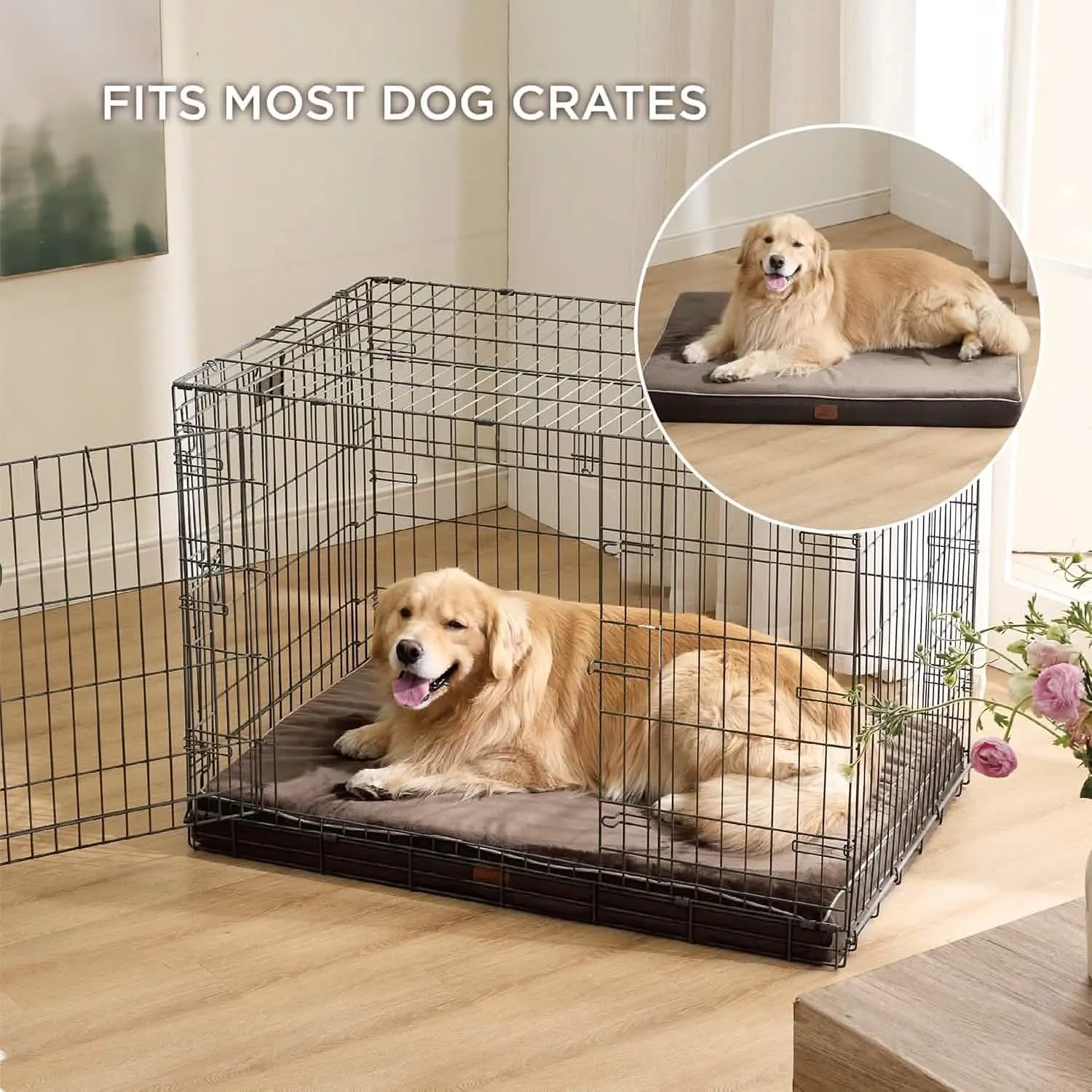 Plush Dog Bed