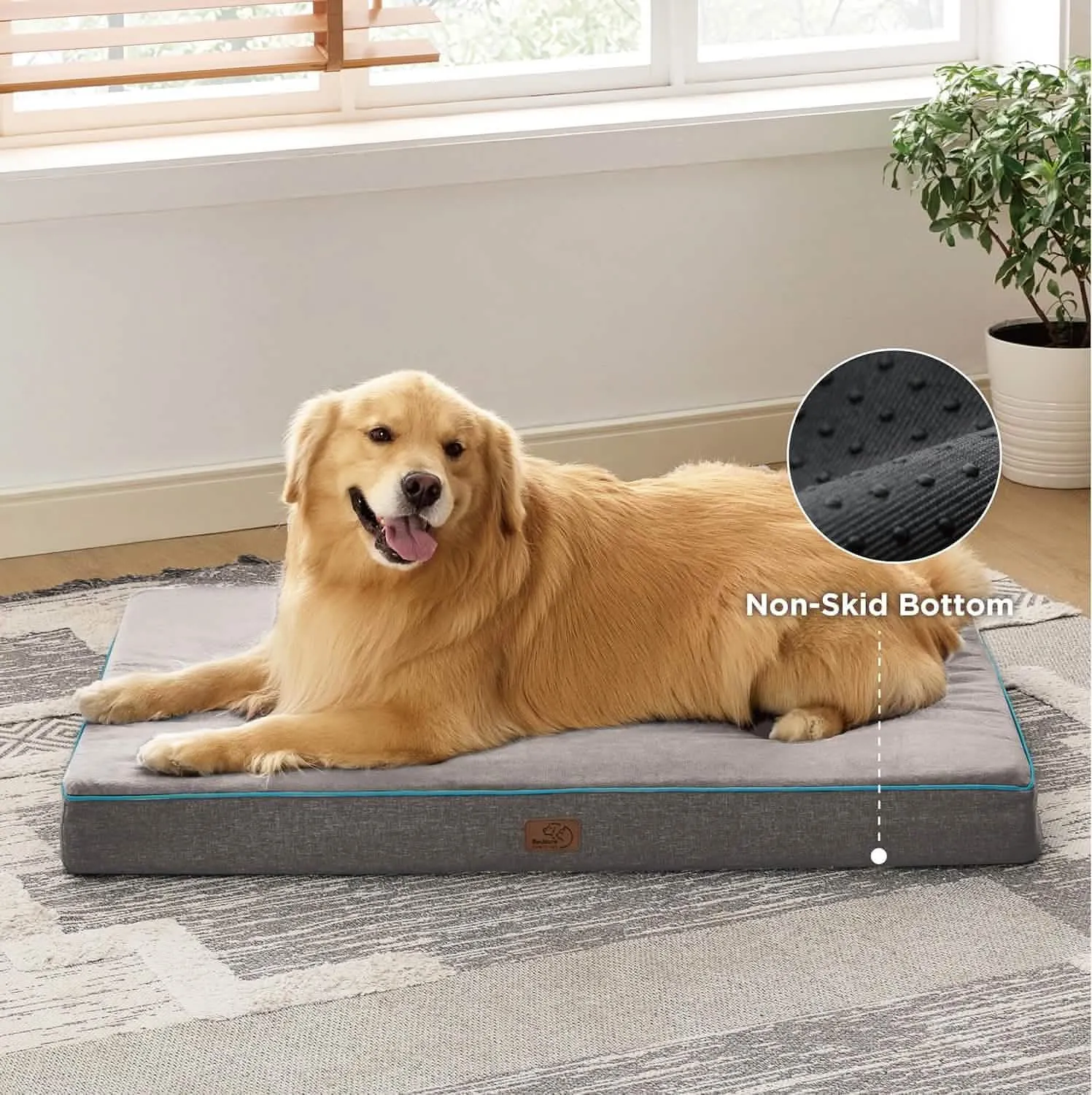 Plush Dog Bed