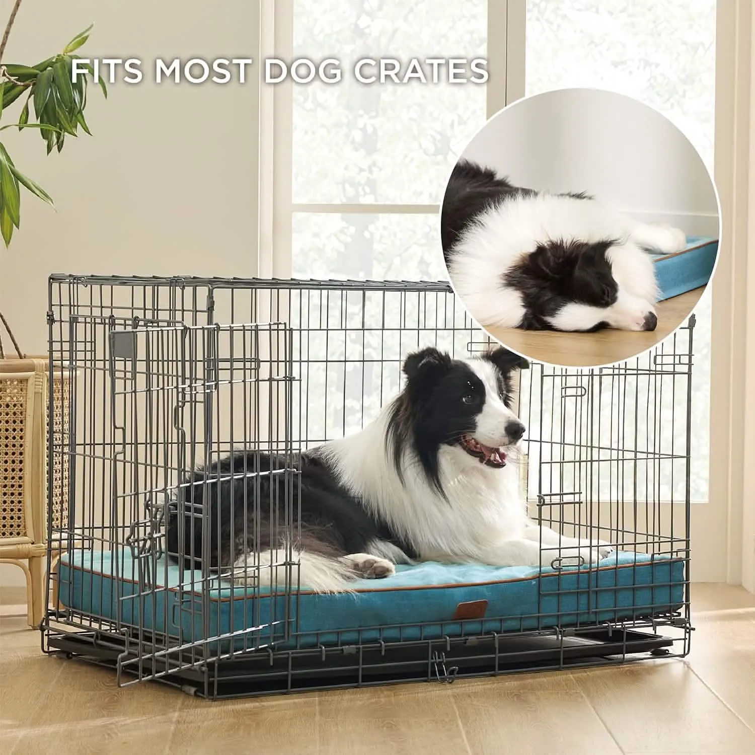 Plush Dog Bed