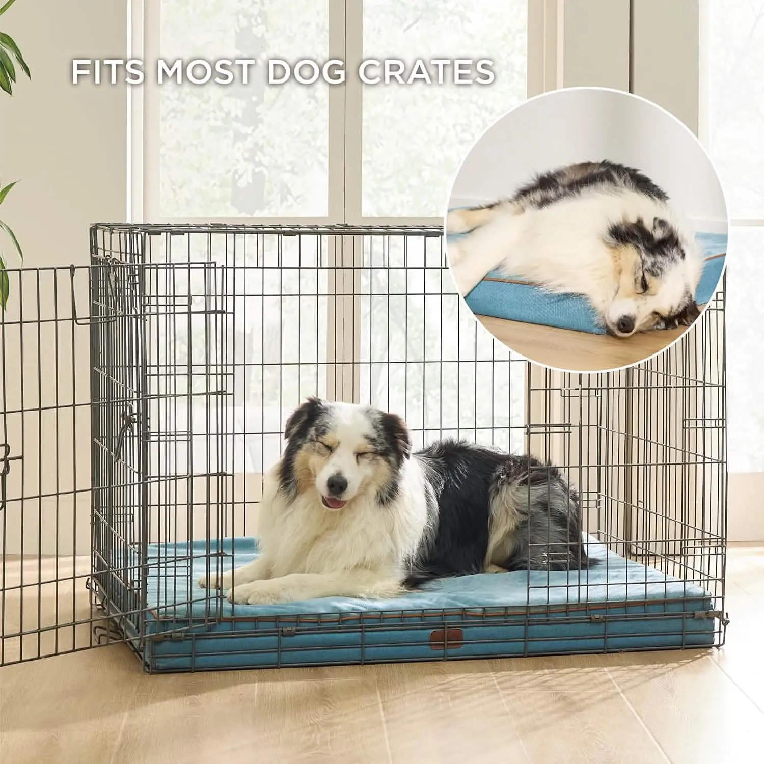 Plush Dog Bed