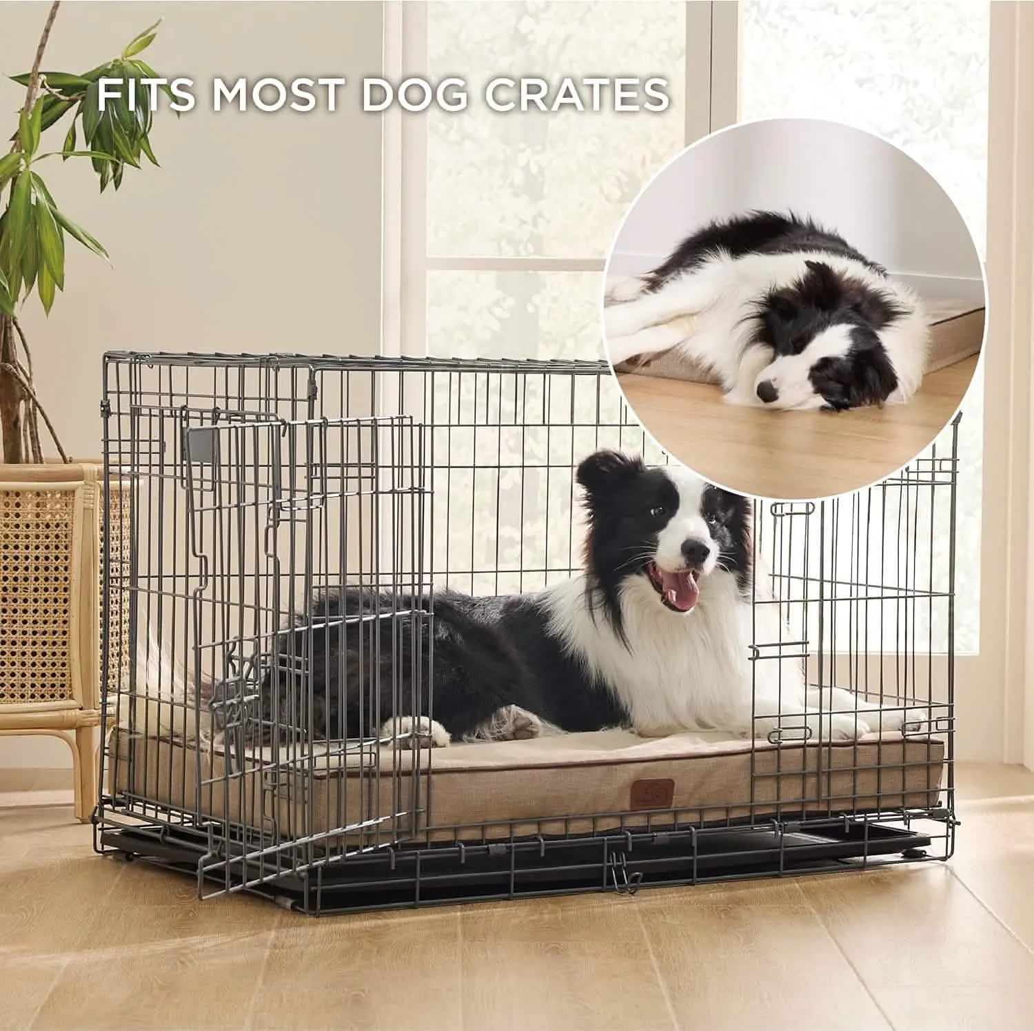 Plush Dog Bed