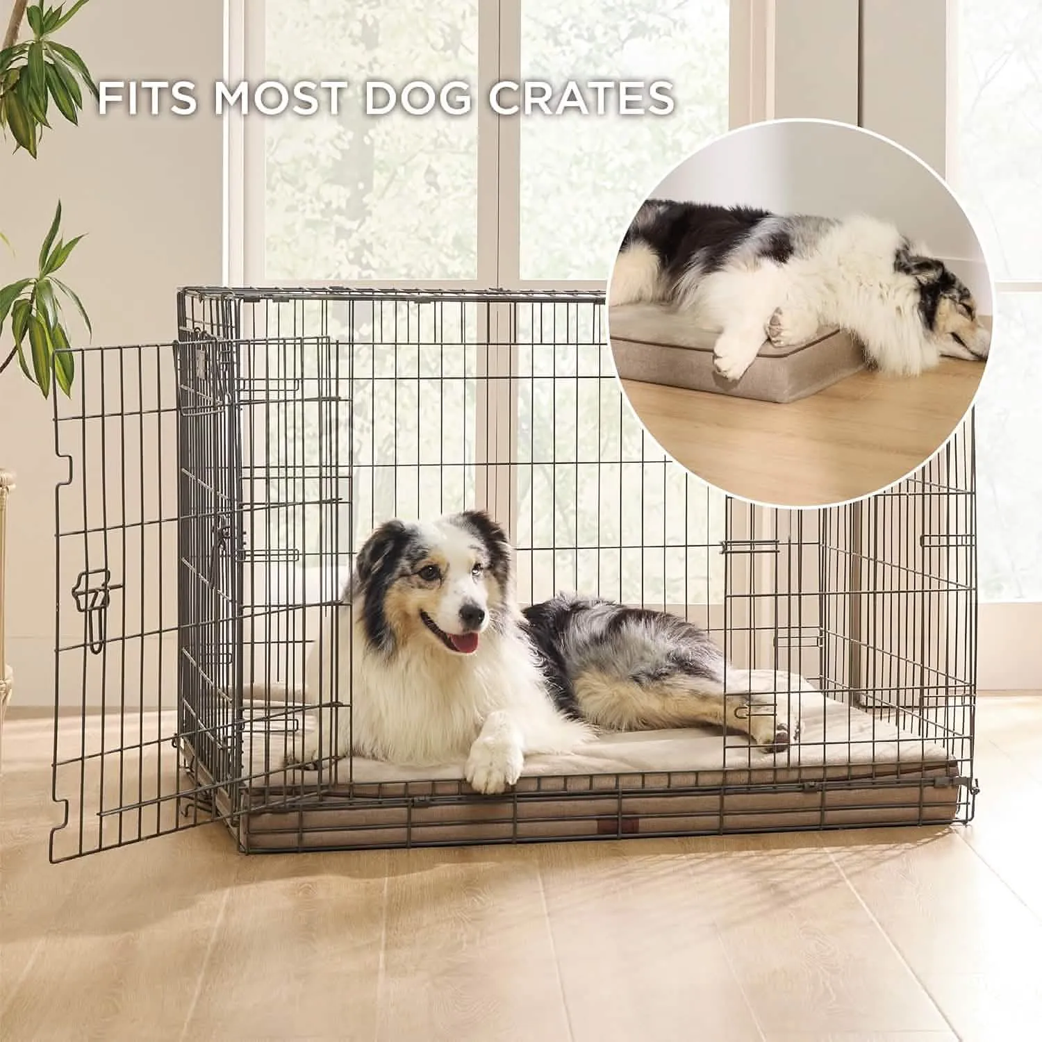 Plush Dog Bed