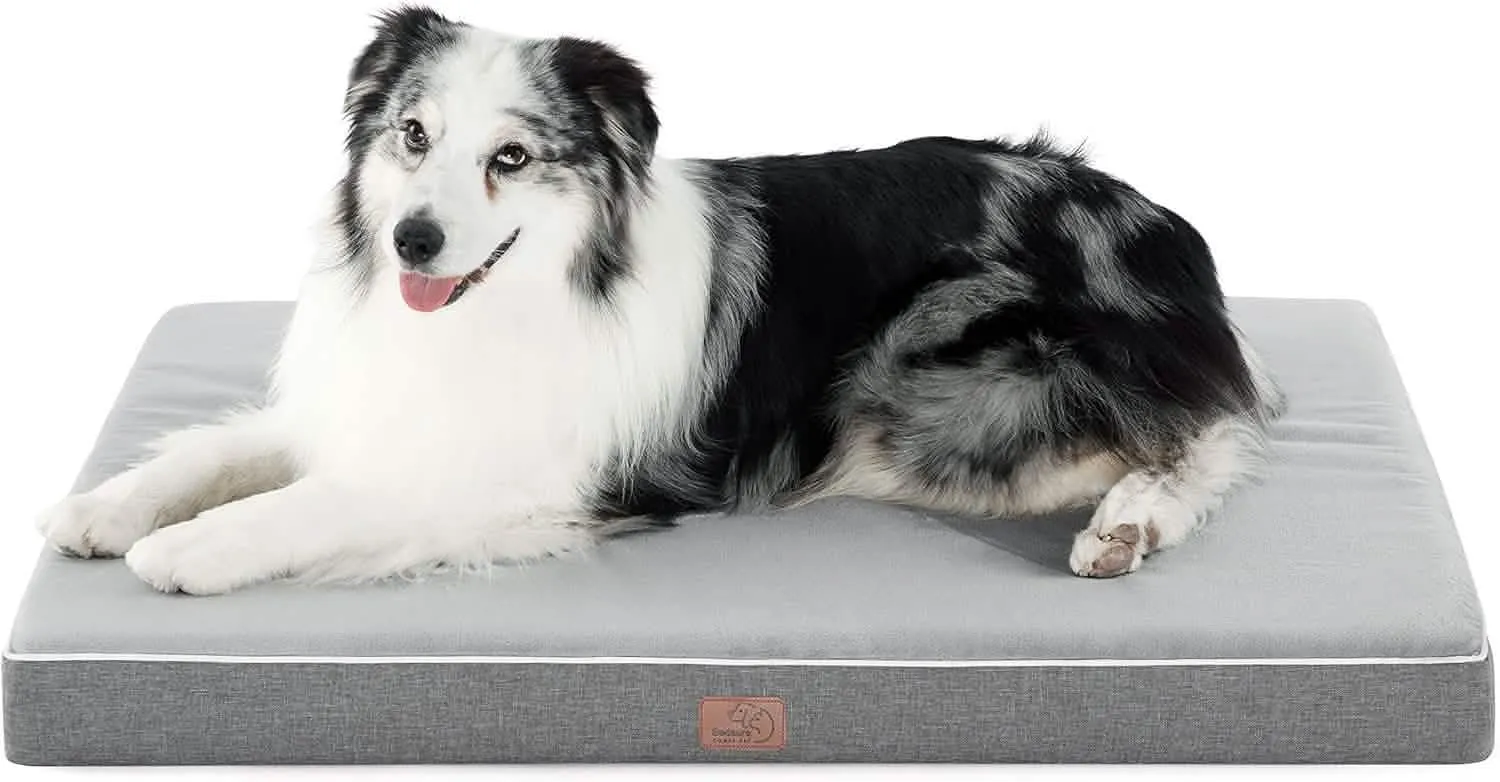 Plush Dog Bed