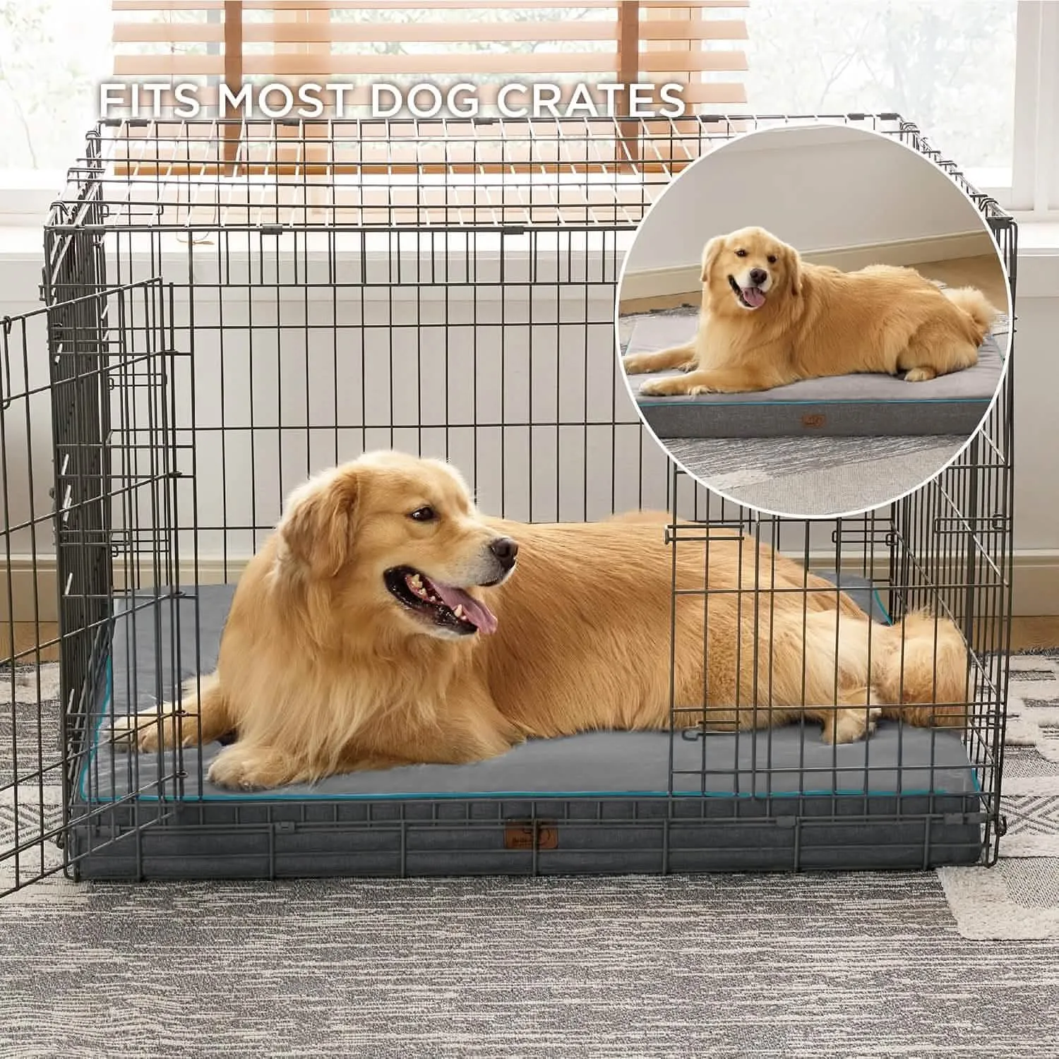 Plush Dog Bed