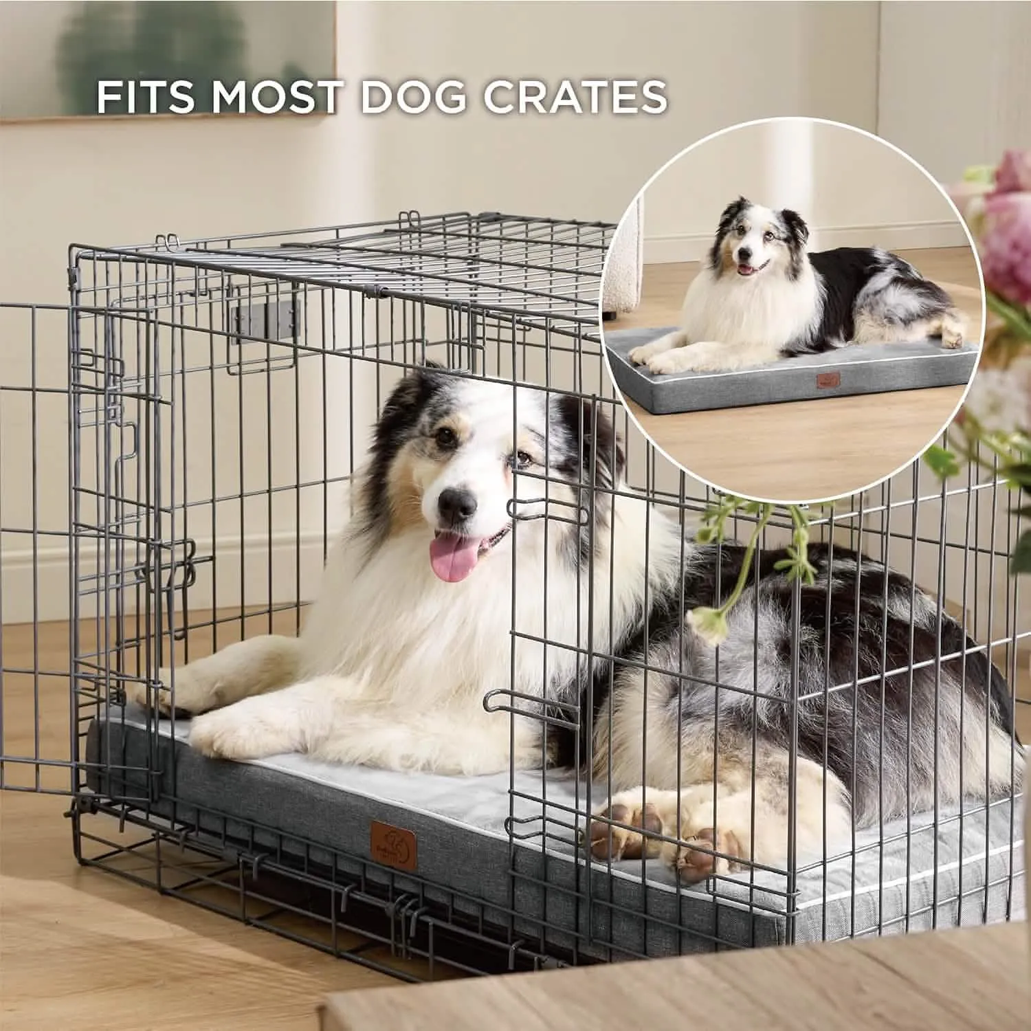 Plush Dog Bed