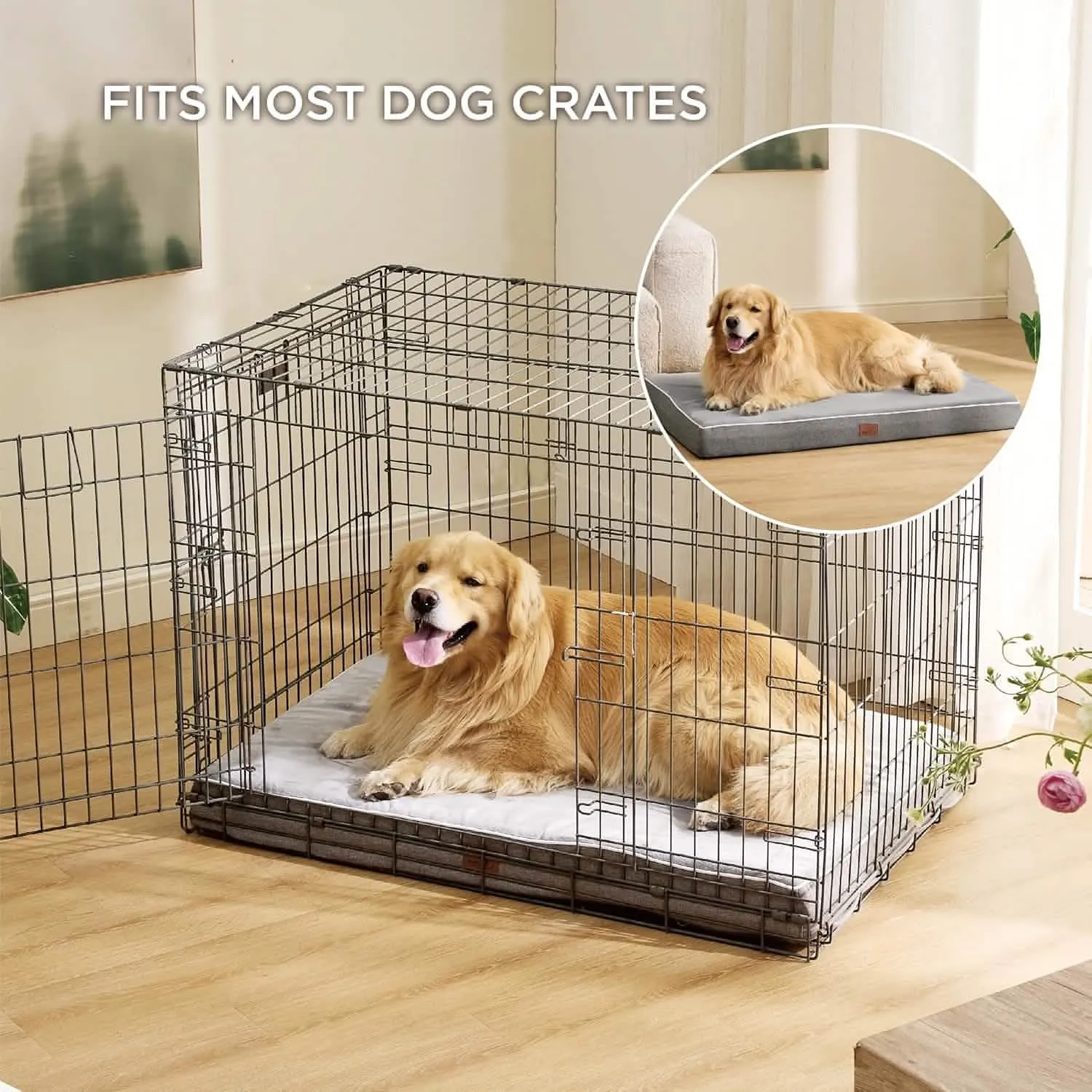Plush Dog Bed
