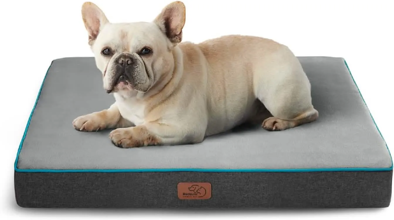 Plush Dog Bed