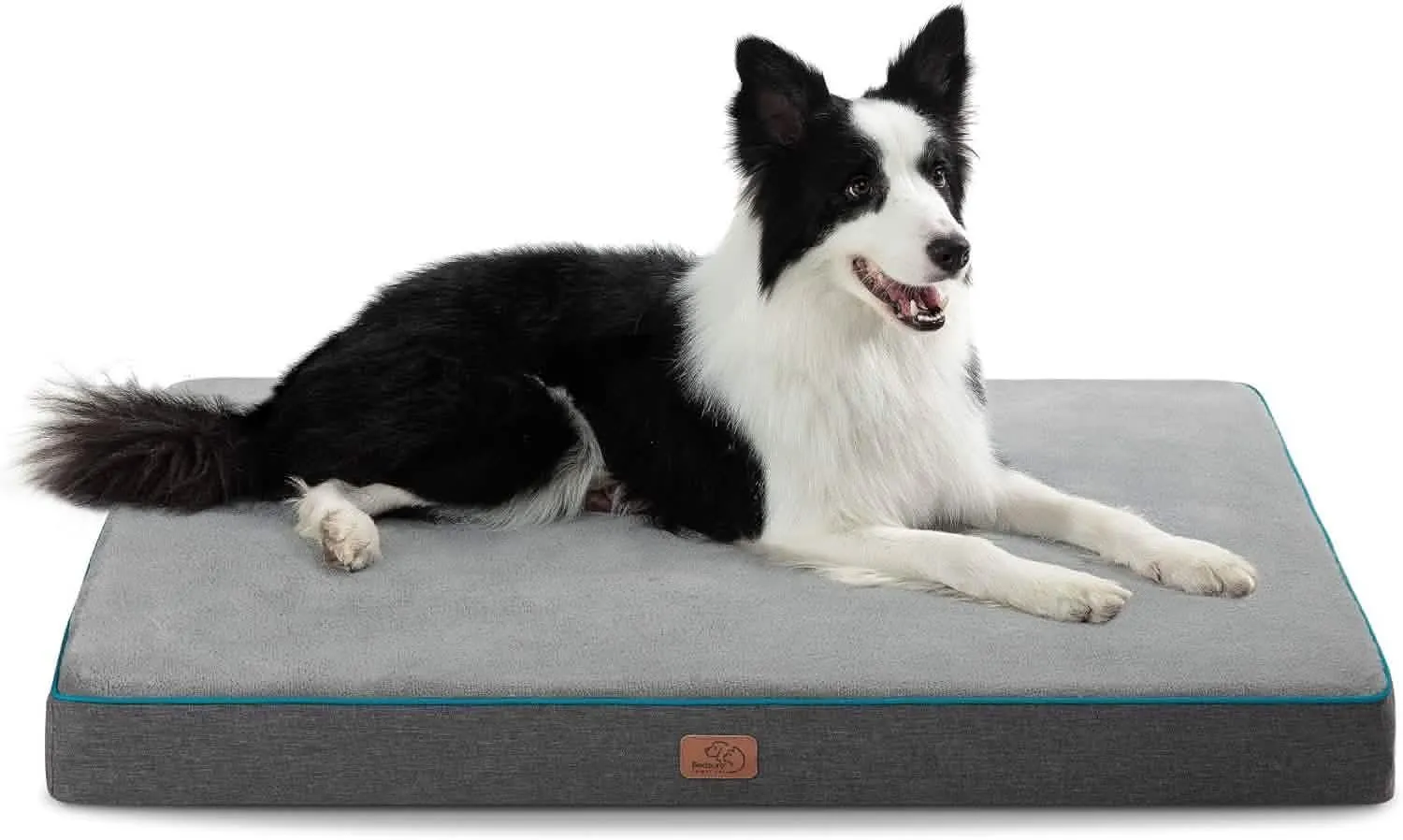 Plush Dog Bed