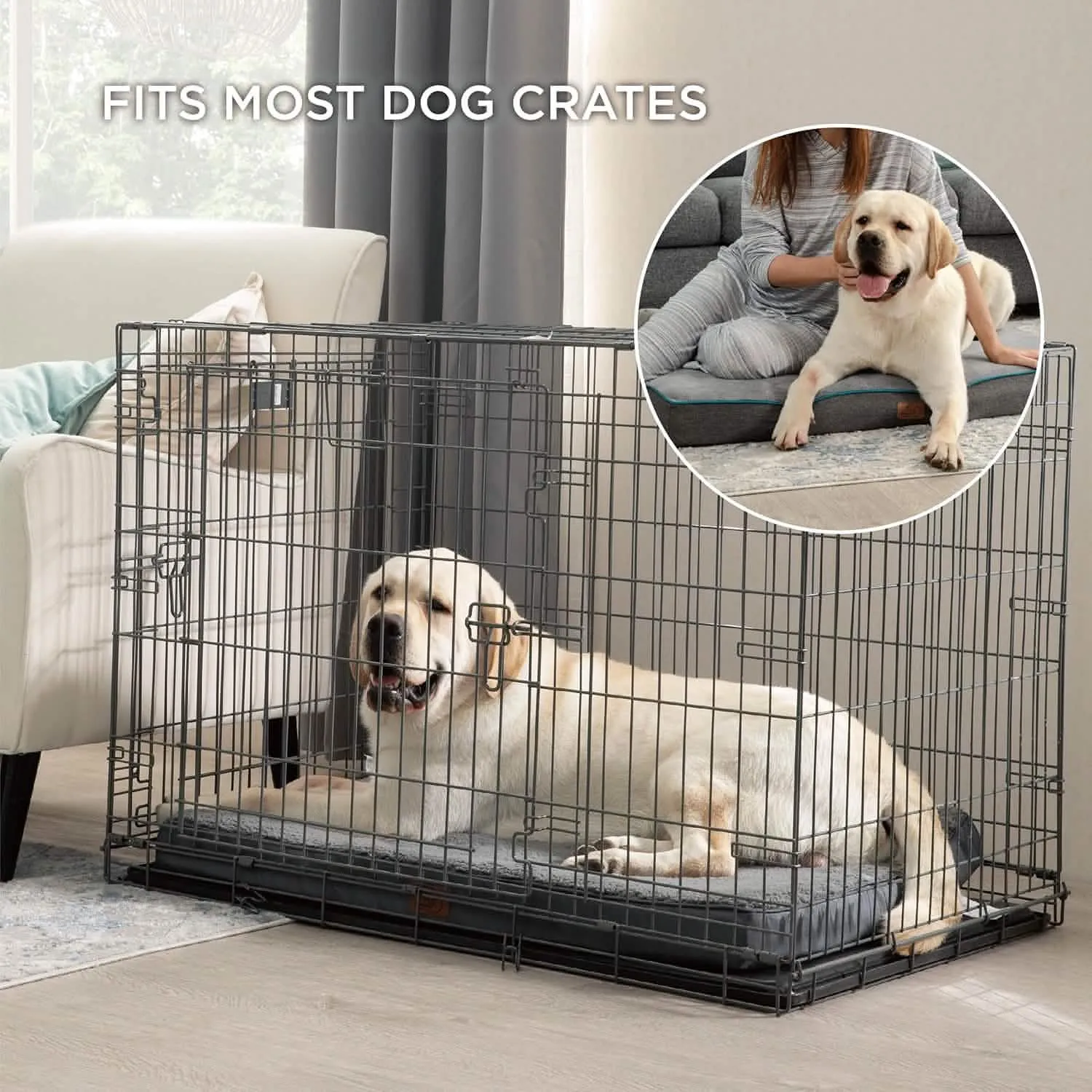 Plush Dog Bed