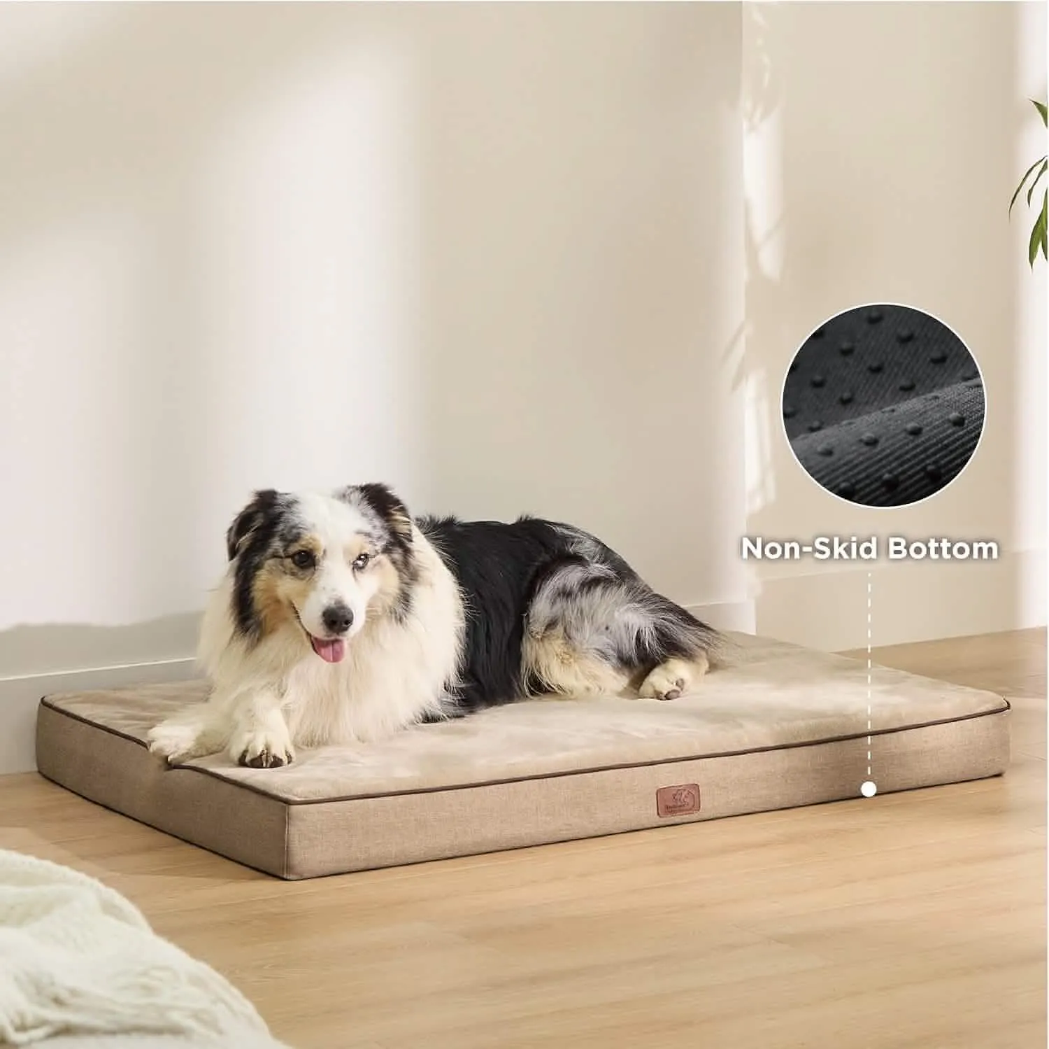 Plush Dog Bed